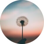 https://room2growcounseling.com/wp-content/uploads/2020/12/Grief-Circle-150x150.jpg