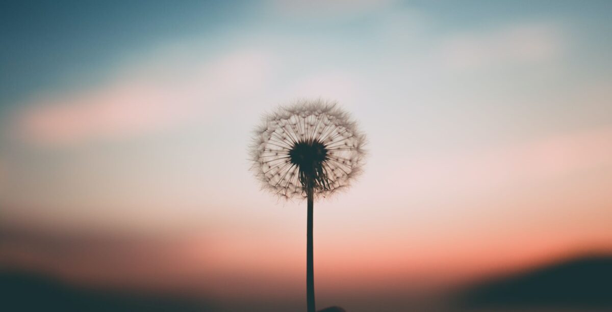 https://room2growcounseling.com/wp-content/uploads/2020/12/Grief-Page-1200x613.jpg