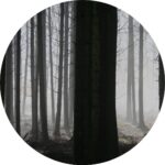 https://room2growcounseling.com/wp-content/uploads/2020/12/Trauma-Circle-150x150.jpg