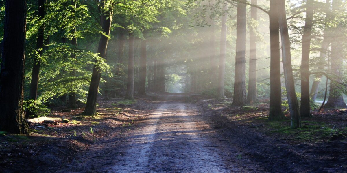 https://room2growcounseling.com/wp-content/uploads/2020/12/the-road-815297-scaled-1200x600.jpg